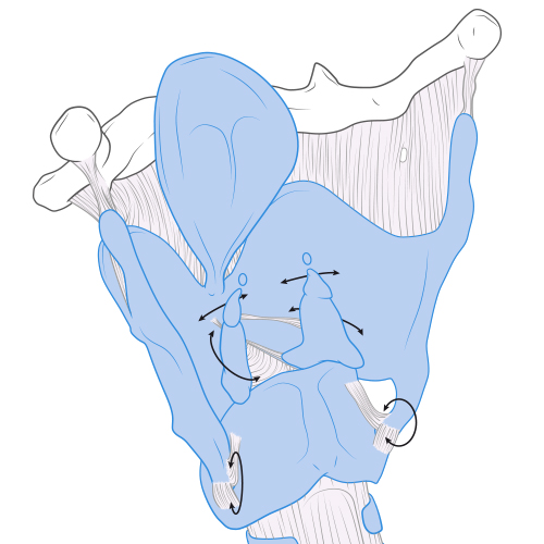 Universal Voice guide