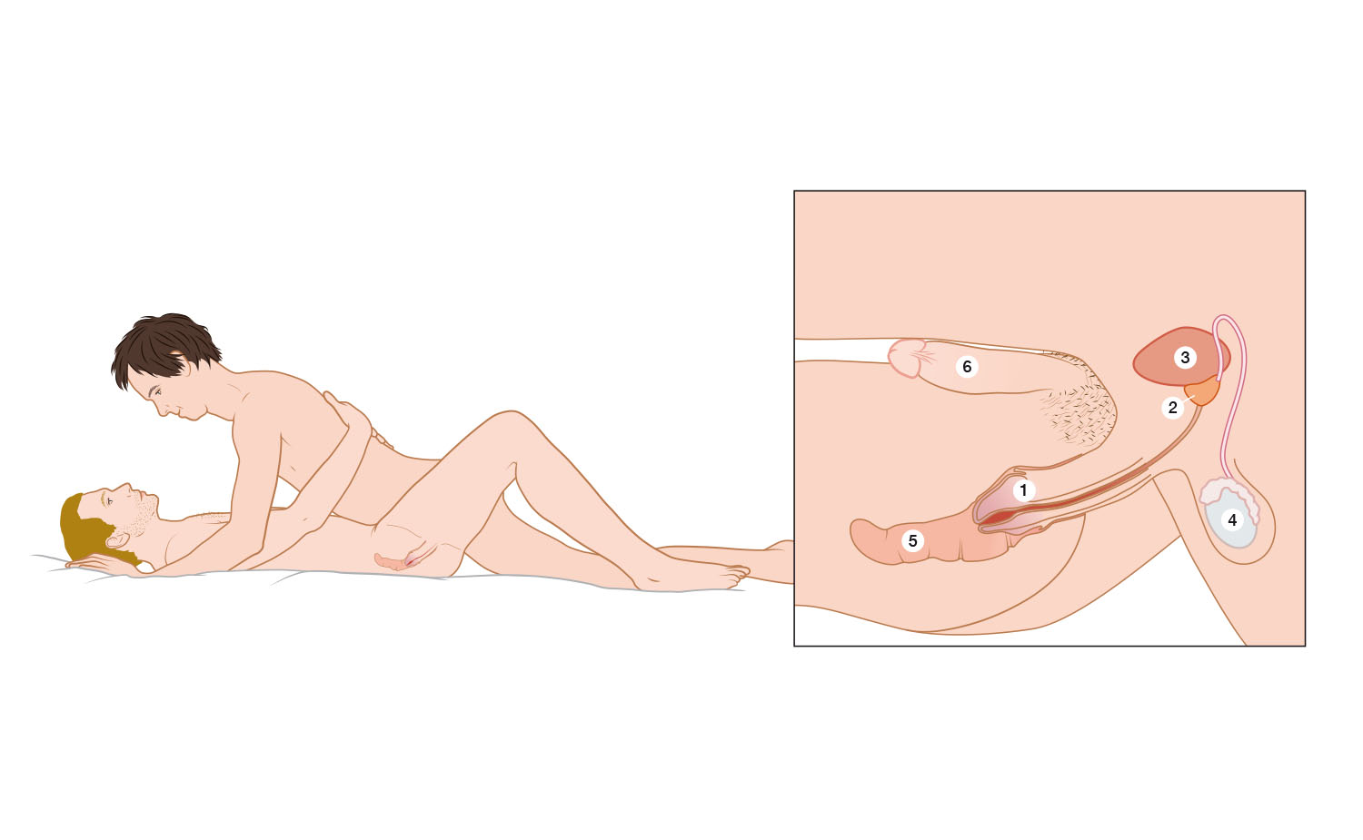 begrijp_je_lichaam_4